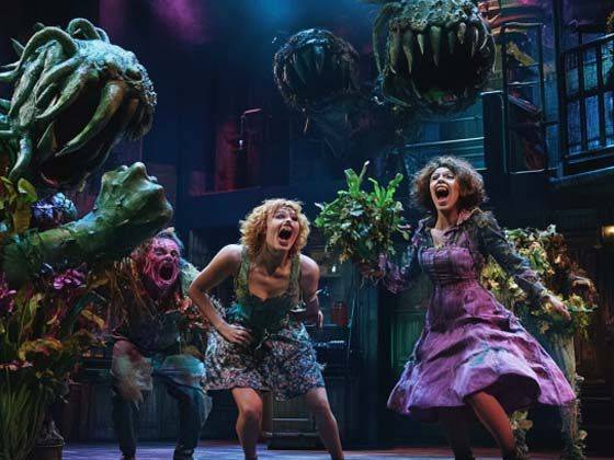 Woking Youth Theatre presents Little Shop of Horrors